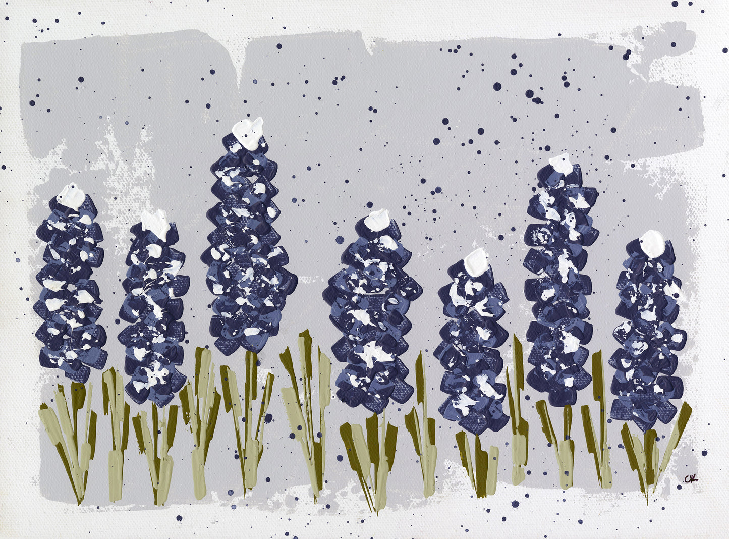 Bluebonnet Fields