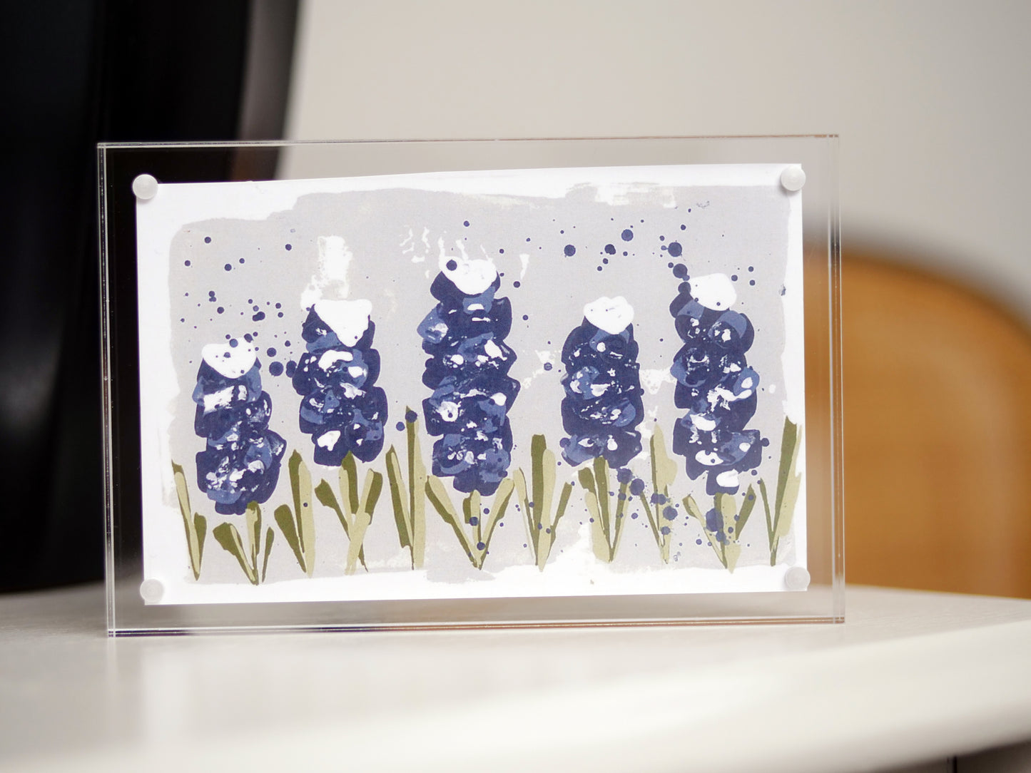 Bluebonnet Fields